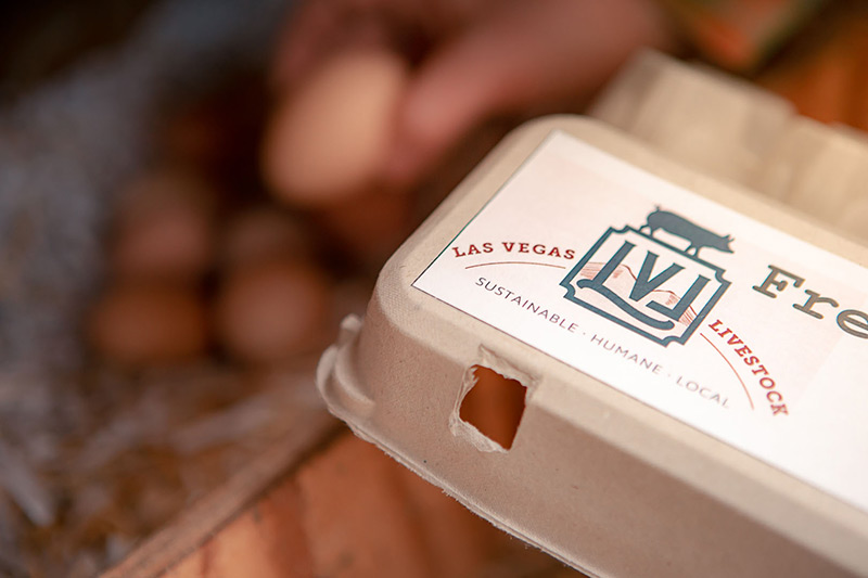 Las Vegas Livestock - Eggs Las Vegas Livestock - Eggs